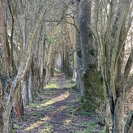 La Clef Des Champs